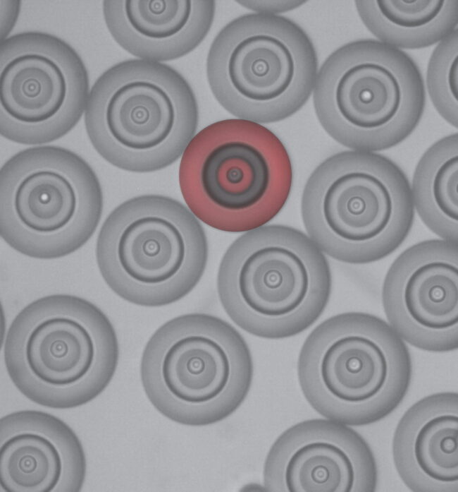 physicistsbr physicistsbr