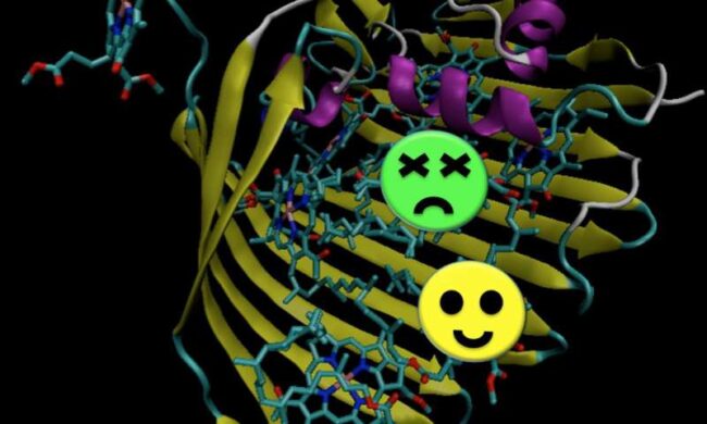 quantumeffec Quantum Effect