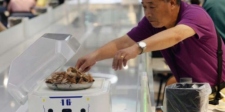 littlequotro littlequotro