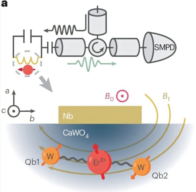 a-solid-state-quantum-1 ssd quantum