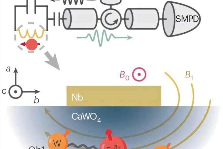 a-solid-state-quantum-1 ssd quantum