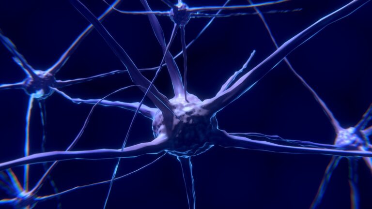 Neural