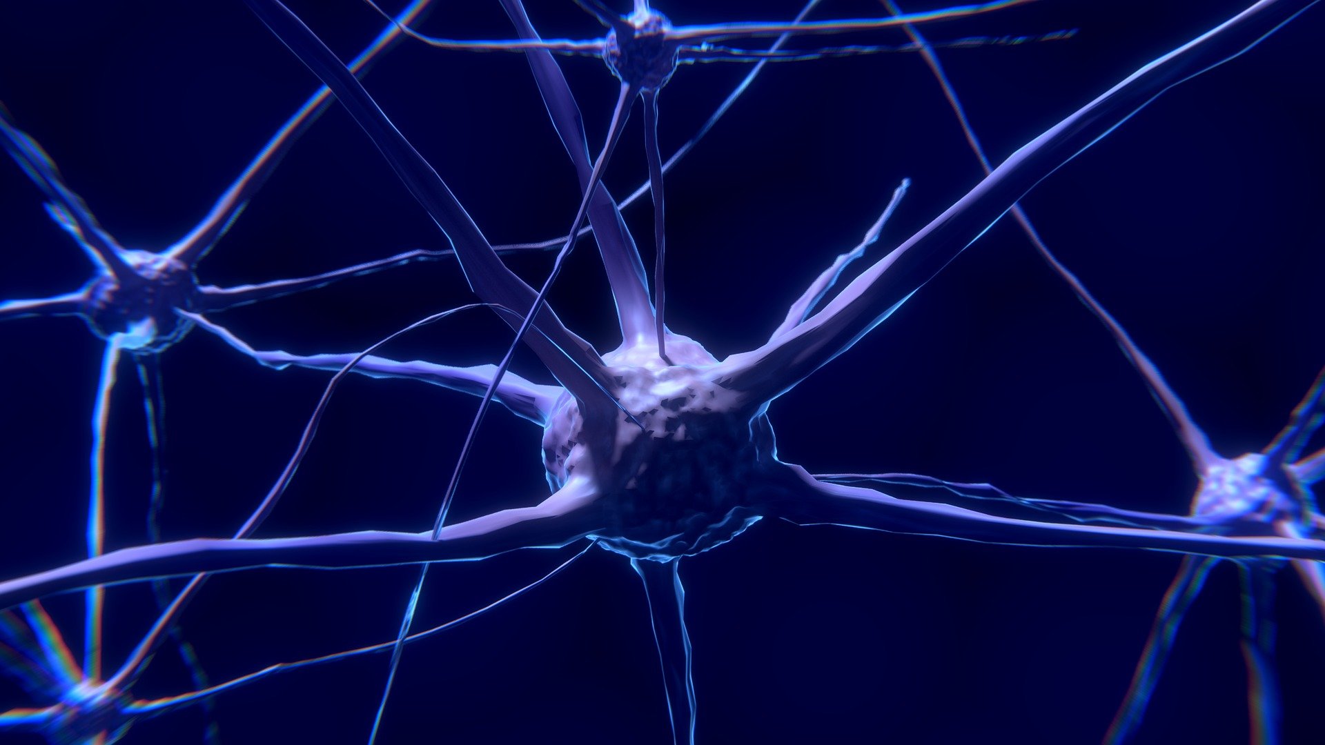 Neural