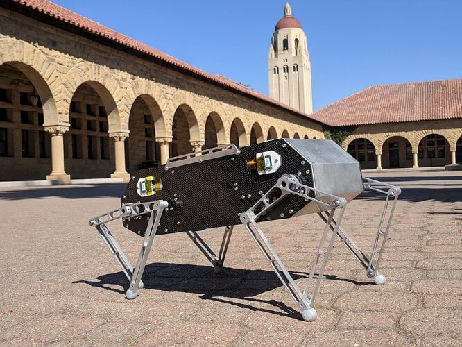 doglikerobot